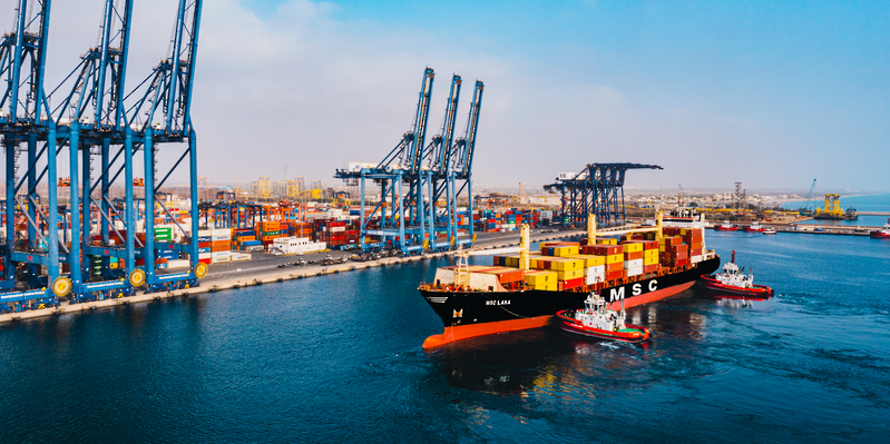 من صائد للسمك الى صائد للفرص في عالم النقل واللوجستيات!